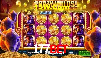 177Bet Brasília - Betting Features